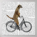 Search for meerkat posters Animals