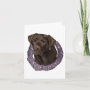 Search for chocolate labrador cards Illustration