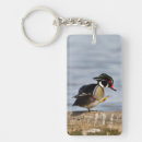 Search for claw key rings Superstock