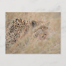 Search for hiding horizontal postcards Nature