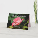 Search for white roses birthday cards Pink