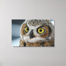 Search for owl painting canvas prints Portrait
