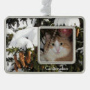 Search for christmas tree decorations Snow
