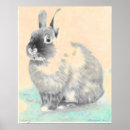 Search for new baby posters Rabbit