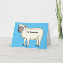 Search for wool cards Cartoon