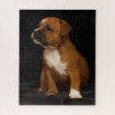Search for staffordshire puzzles Puppy