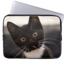 Search for looking at camera cases Animal