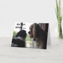 Search for shih tzu birthday cards Friend