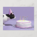 Search for veterinarian birthday cards Feline
