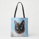 Search for siamese bags Kitten