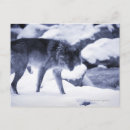 Search for confrontational postcards Concentration