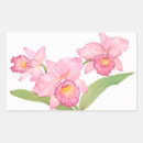 Search for exotic flower stickers Orchid