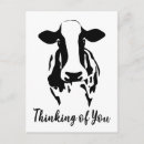 Search for cow love cards Farm