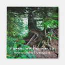 Search for forks magnets Souvenir