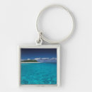 Search for pure key rings Nature