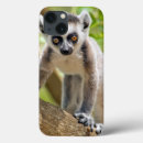 Search for lemur cases Animal