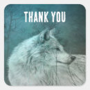 Search for gray wolf stickers Wild