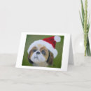 Search for shih tzu cards Adorable