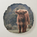 Search for field cushions Cow
