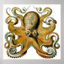 Search for vintage octopus posters Cool