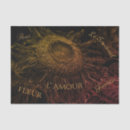 Search for black and gold tissue paper Script