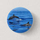 Search for dolphin badges Fish
