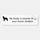Search for huskies bumper stickers Siberian husky