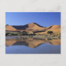 Search for namib postcards Nature