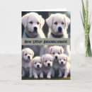 Search for new puppy announcement postcards Animals