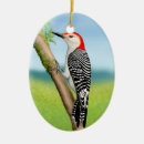 Search for woodpecker christmas tree decorations Birds