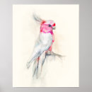 Search for cockatoo posters Watercolor