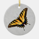 Search for entomology christmas tree decorations Butterfly