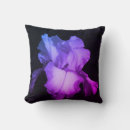 Search for iris photography Purple iris flower