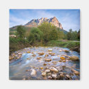 Search for peche France