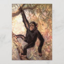 Search for chimp monkey invitations Chimps