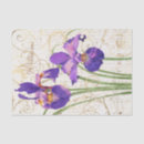 Search for iris Flowers
