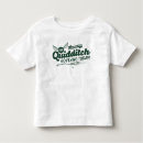 Search for quidditch tshirts Wizarding world