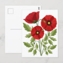 Search for flower bloom postcards Nature
