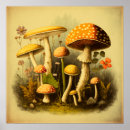 Search for vintage mushroom posters Fungi