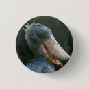 Search for avian badges Beak