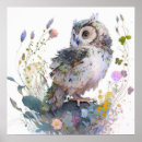 Search for owl portrait posters Wildlife