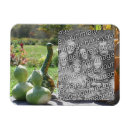 Search for gourd magnets Fall