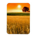 Search for wheat magnets Tree