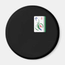Search for mahjong magnets Chinese