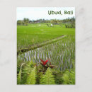 Search for paddy postcards Postcrossing