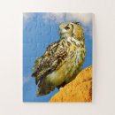 Search for owl puzzles Birds