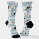 Search for bichon frise clothing Pets