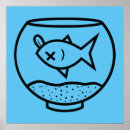 Search for dead fish Funny