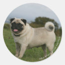 Search for panting stickers Standing