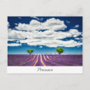 Search for provence postcards Europe